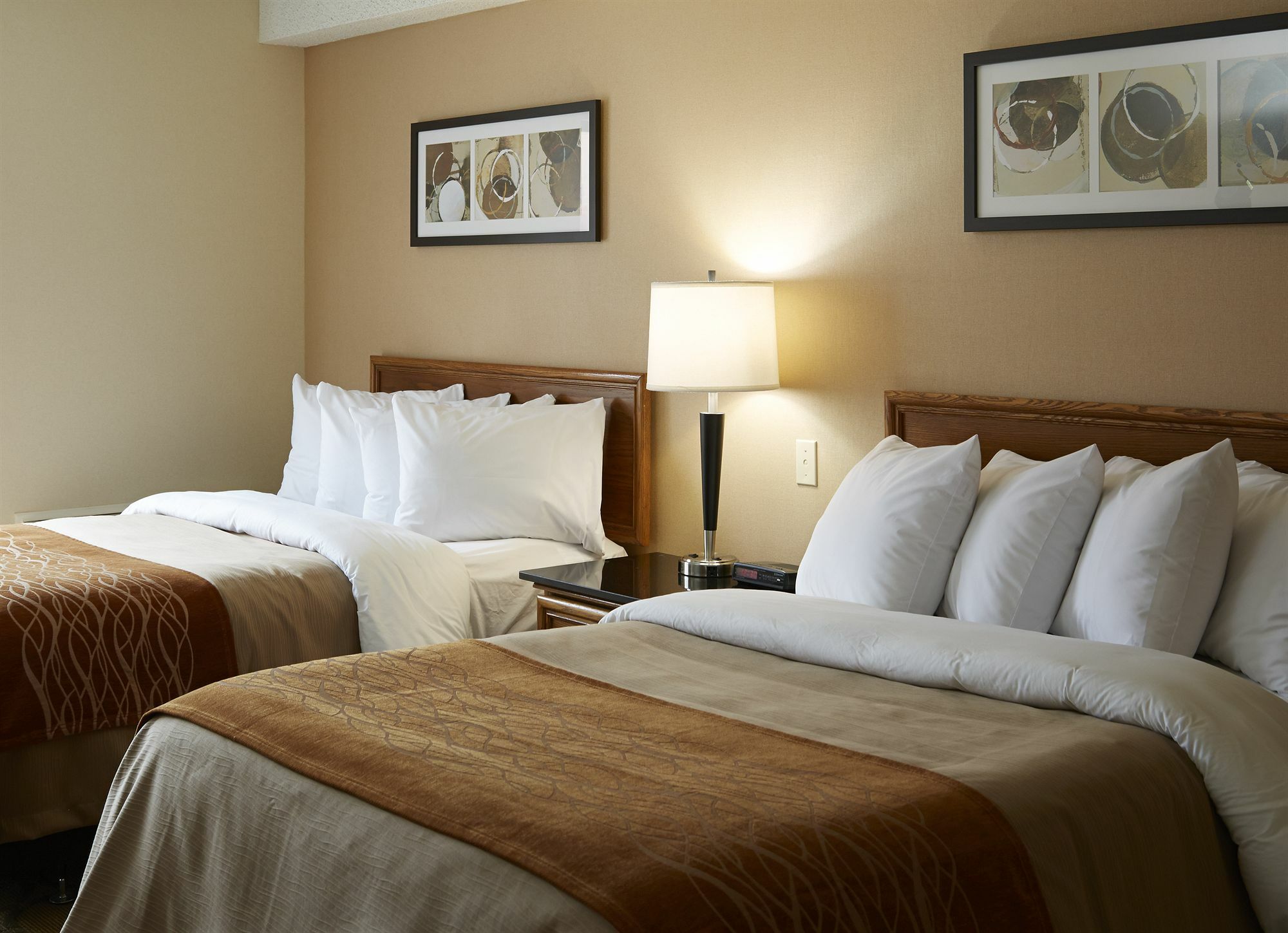 Comfort Inn Hwy 401 Kingston Exterior photo